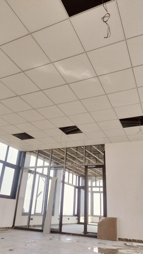 Ceiling Services
